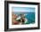 Kynance Cove, Lizard, Cornwall, England, United Kingdom, Europe-Kav Dadfar-Framed Photographic Print