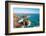 Kynance Cove, Lizard, Cornwall, England, United Kingdom, Europe-Kav Dadfar-Framed Photographic Print