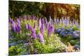Premium Photographic Print