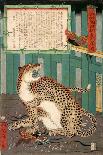 A True Picture of the Fierce Live Tiger Never Seen from the Past to the Present-Kyosai Kawanabe-Giclee Print