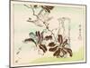 Kyosai Rakuga - Bird and Flowers-Kyosai Kawanabe-Mounted Giclee Print