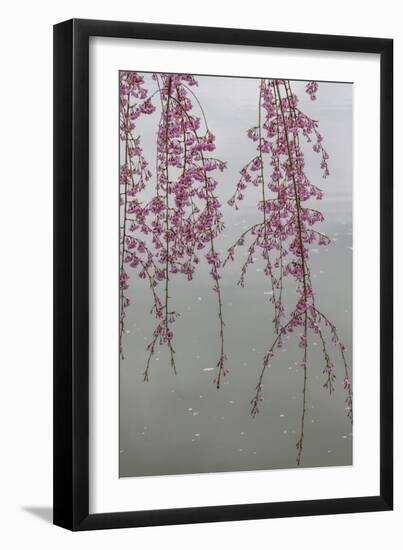 Kyoto Japan 3-Art Wolfe-Framed Photographic Print
