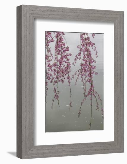 Kyoto Japan 3-Art Wolfe-Framed Photographic Print