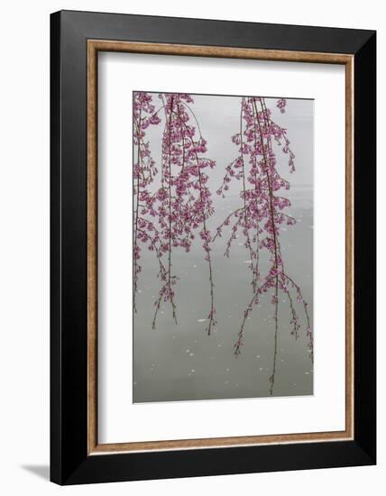 Kyoto Japan 3-Art Wolfe-Framed Photographic Print