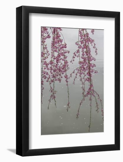 Kyoto Japan 3-Art Wolfe-Framed Photographic Print