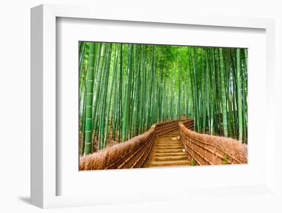 Kyoto, Japan at the Bamboo Forest.-SeanPavonePhoto-Framed Photographic Print