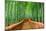 Kyoto, Japan at the Bamboo Forest.-SeanPavonePhoto-Mounted Photographic Print
