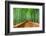 Kyoto, Japan at the Bamboo Forest.-SeanPavonePhoto-Framed Photographic Print