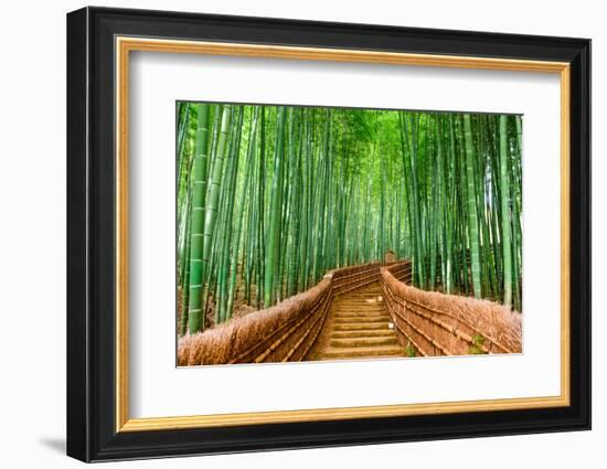 Kyoto, Japan at the Bamboo Forest.-SeanPavonePhoto-Framed Photographic Print