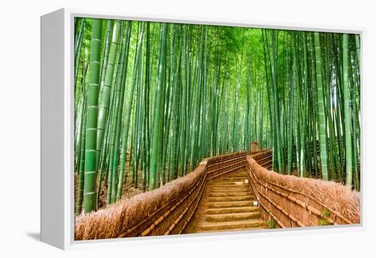 Kyoto, Japan at the Bamboo Forest.-SeanPavonePhoto-Framed Premier Image Canvas