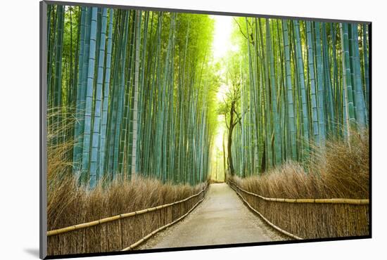 Kyoto, Japan Bamboo Forest.-SeanPavonePhoto-Mounted Photographic Print