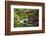 Kyoto, Japan. Eikando Temple, stone bridge over pond leading to temple-Miva Stock-Framed Photographic Print