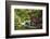 Kyoto, Japan. Eikando Temple, stone bridge over pond leading to temple-Miva Stock-Framed Photographic Print