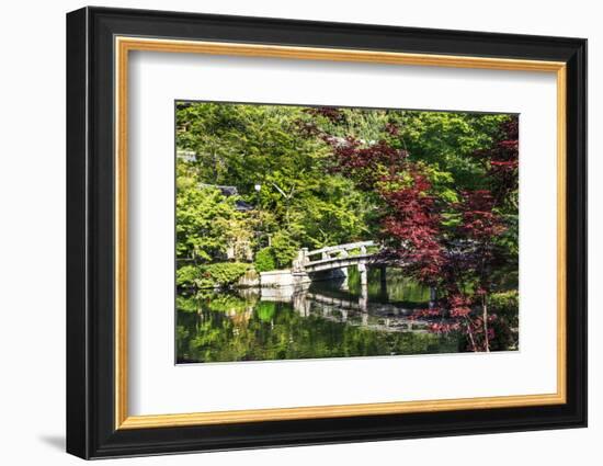 Kyoto, Japan. Eikando Temple, stone bridge over pond leading to temple-Miva Stock-Framed Photographic Print