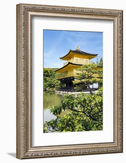 Kyoto, Japan. Kinkaku-Ji, Temple of the Golden Pavilion, also known as Rokuon-Ji-Miva Stock-Framed Photographic Print