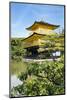 Kyoto, Japan. Kinkaku-Ji, Temple of the Golden Pavilion, also known as Rokuon-Ji-Miva Stock-Mounted Photographic Print