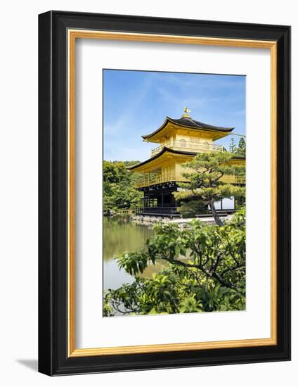 Kyoto, Japan. Kinkaku-Ji, Temple of the Golden Pavilion, also known as Rokuon-Ji-Miva Stock-Framed Photographic Print