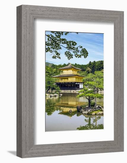Kyoto, Japan. Kinkaku-Ji, Temple of the Golden Pavilion, also known as Rokuon-Ji-Miva Stock-Framed Photographic Print