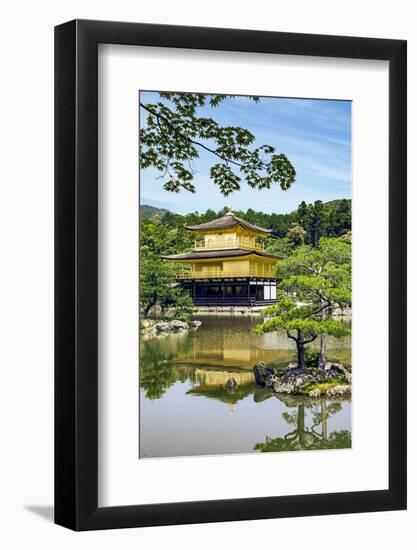 Kyoto, Japan. Kinkaku-Ji, Temple of the Golden Pavilion, also known as Rokuon-Ji-Miva Stock-Framed Photographic Print