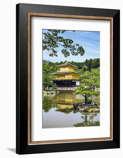 Kyoto, Japan. Kinkaku-Ji, Temple of the Golden Pavilion, also known as Rokuon-Ji-Miva Stock-Framed Photographic Print