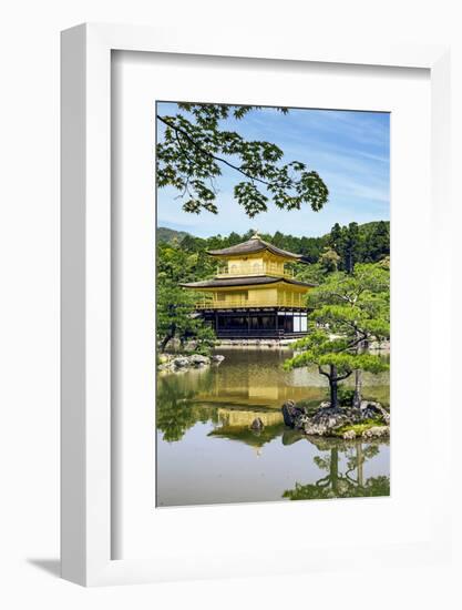 Kyoto, Japan. Kinkaku-Ji, Temple of the Golden Pavilion, also known as Rokuon-Ji-Miva Stock-Framed Photographic Print