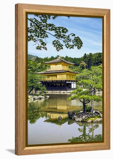 Kyoto, Japan. Kinkaku-Ji, Temple of the Golden Pavilion, also known as Rokuon-Ji-Miva Stock-Framed Premier Image Canvas