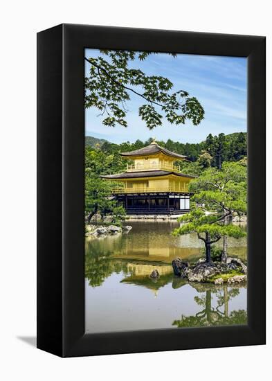 Kyoto, Japan. Kinkaku-Ji, Temple of the Golden Pavilion, also known as Rokuon-Ji-Miva Stock-Framed Premier Image Canvas