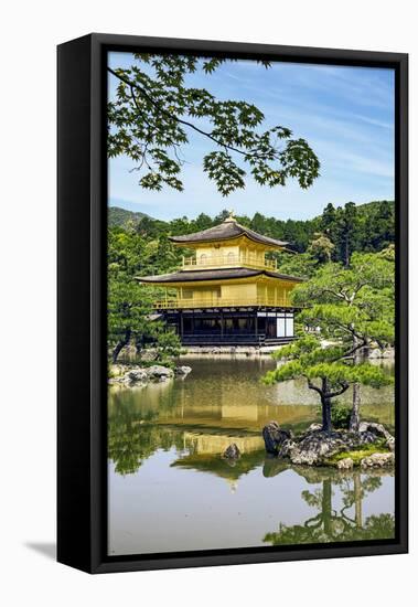 Kyoto, Japan. Kinkaku-Ji, Temple of the Golden Pavilion, also known as Rokuon-Ji-Miva Stock-Framed Premier Image Canvas