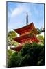 Kyoto, Japan. Taisan-ji Temple nearby Kiyomizu-dera Temple-Miva Stock-Mounted Photographic Print