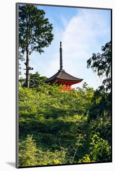 Kyoto, Japan. Taisan-ji Temple nearby Kiyomizu-dera Temple-Miva Stock-Mounted Photographic Print