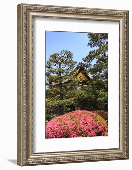 Kyoto, Japan. The Ninomaru Palace is gilded with gold at Nijo Castle-Miva Stock-Framed Photographic Print