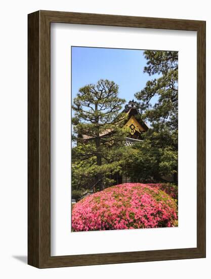 Kyoto, Japan. The Ninomaru Palace is gilded with gold at Nijo Castle-Miva Stock-Framed Photographic Print