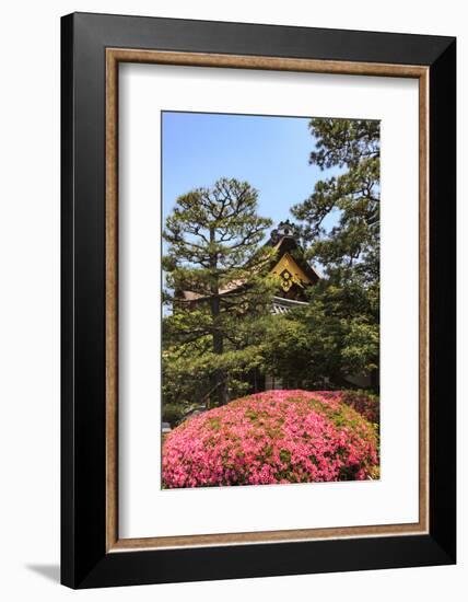 Kyoto, Japan. The Ninomaru Palace is gilded with gold at Nijo Castle-Miva Stock-Framed Photographic Print