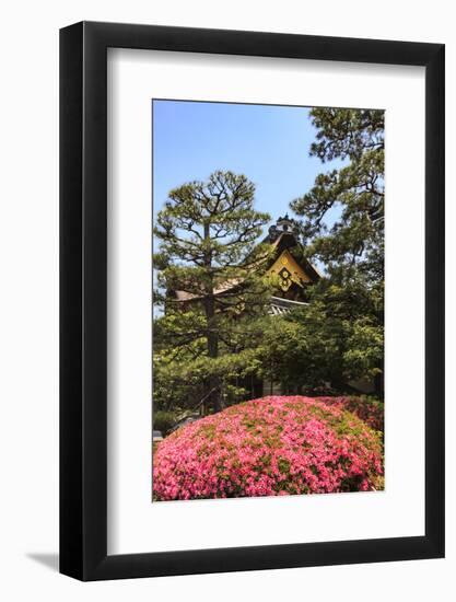 Kyoto, Japan. The Ninomaru Palace is gilded with gold at Nijo Castle-Miva Stock-Framed Photographic Print