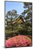 Kyoto, Japan. The Ninomaru Palace is gilded with gold at Nijo Castle-Miva Stock-Mounted Photographic Print