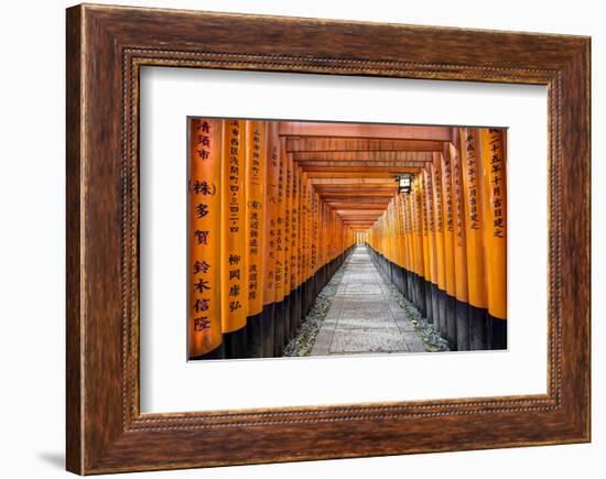 Kyoto Shrine Fushimi Inari Taisha-null-Framed Premium Giclee Print