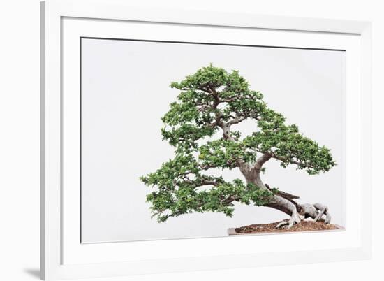 Kyoto-Irene Suchocki-Framed Giclee Print