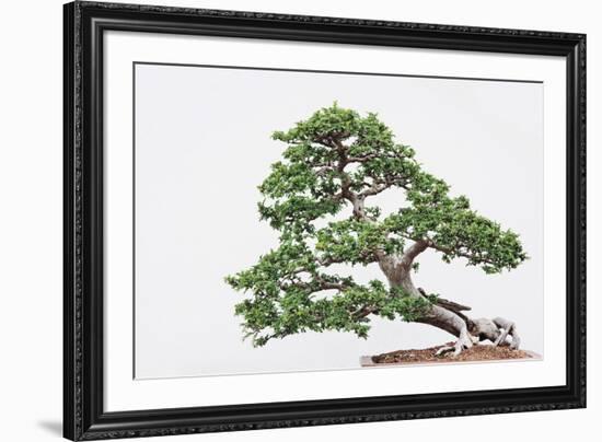 Kyoto-Irene Suchocki-Framed Giclee Print