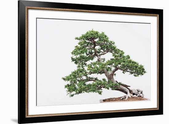 Kyoto-Irene Suchocki-Framed Giclee Print