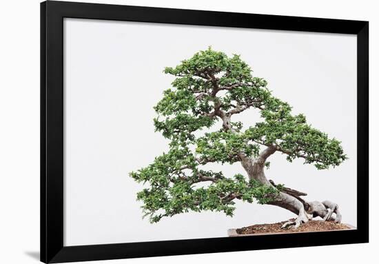 Kyoto-Irene Suchocki-Framed Giclee Print