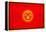 Kyrgyzstan Flag Design with Wood Patterning - Flags of the World Series-Philippe Hugonnard-Framed Stretched Canvas