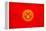 Kyrgyzstan Flag Design with Wood Patterning - Flags of the World Series-Philippe Hugonnard-Framed Stretched Canvas