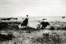 Cowboy on Horseback Lassooing a Calf-L.a. Huffman-Giclee Print