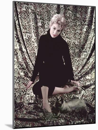L'Adorable Voisine BELL BOOK AND CANDLE by RichardQuine with Kim Novak, 1958 (photo)-null-Mounted Photo