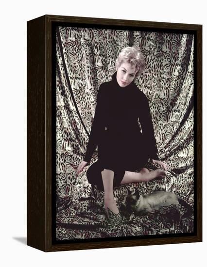 L'Adorable Voisine BELL BOOK AND CANDLE by RichardQuine with Kim Novak, 1958 (photo)-null-Framed Stretched Canvas