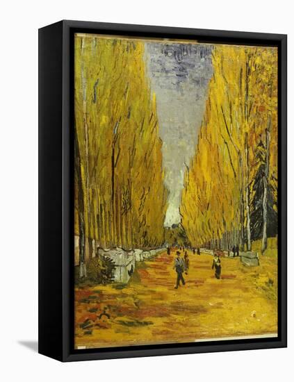 L'Allee Des Alyscamps, Arles, 1888-Vincent van Gogh-Framed Premier Image Canvas