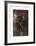 L'Amazone-Giovanni Boldini-Framed Premium Giclee Print