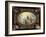 L'Apothéose de saint Roch-de Pujol Alexandre-Denis Abel-Framed Giclee Print