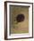 L'Araignée souriante-Odilon Redon-Framed Giclee Print