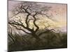 L'Arbre aux corbeaux-Caspar David Friedrich-Mounted Giclee Print